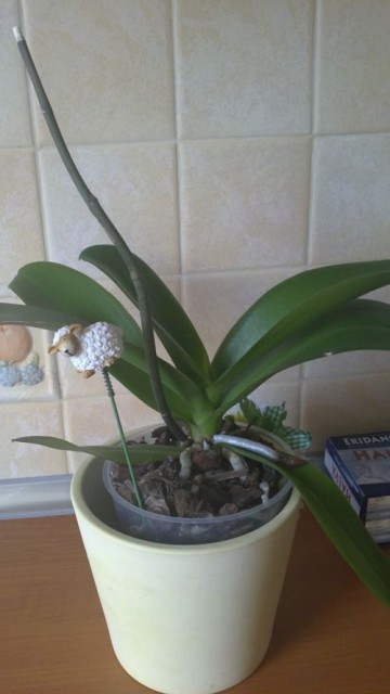 20111012146.jpg