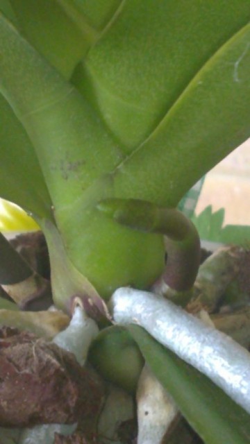 20111012147.jpg