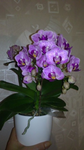 20111013150.jpg