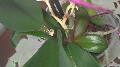 20111019168.jpg