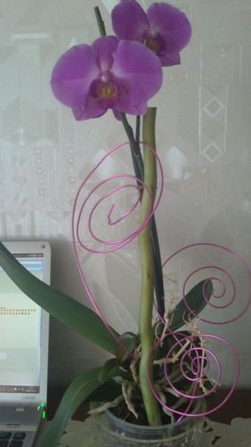 20111019169.jpg