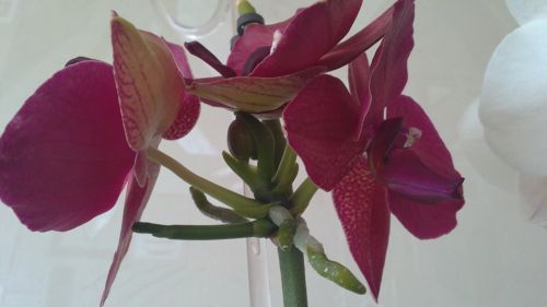 20110703040.jpg