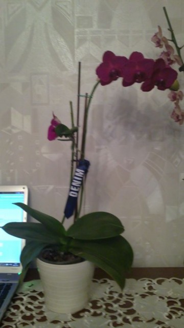 20111019172.jpg