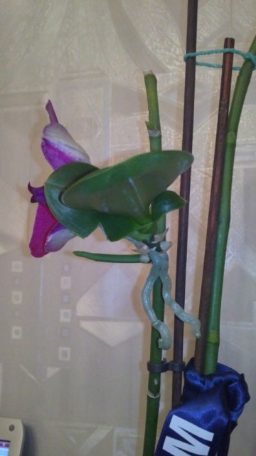 20111019173.jpg