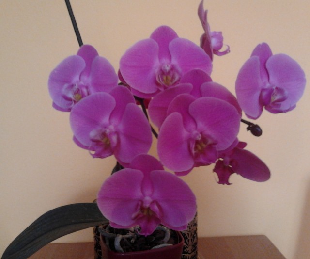 2011-10-14 14.14.45.jpg