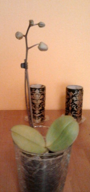 2011-10-14 14.36.47.jpg