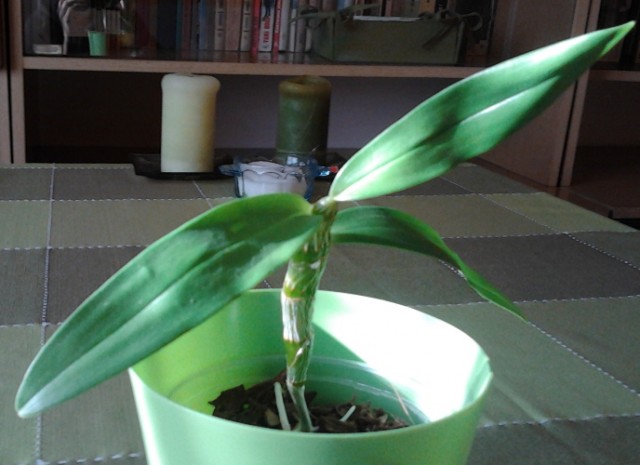 2011-11-12 13.05.14.jpg