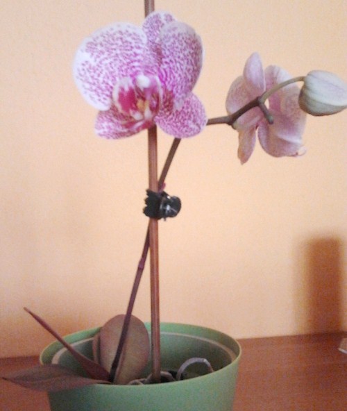 2011-11-01 10.57.26.jpg