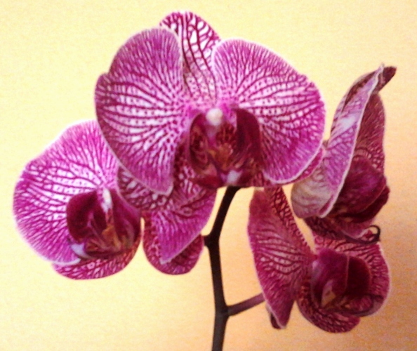 2011-11-01 10.54.35.jpg