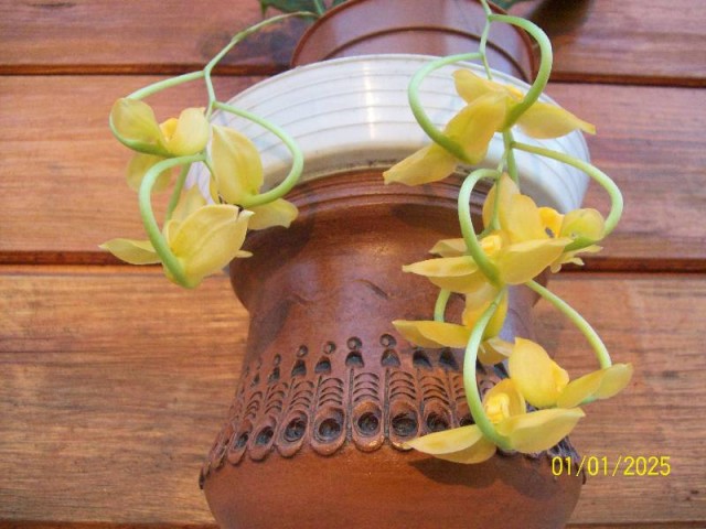 @Kw  gongory 2011.jpg