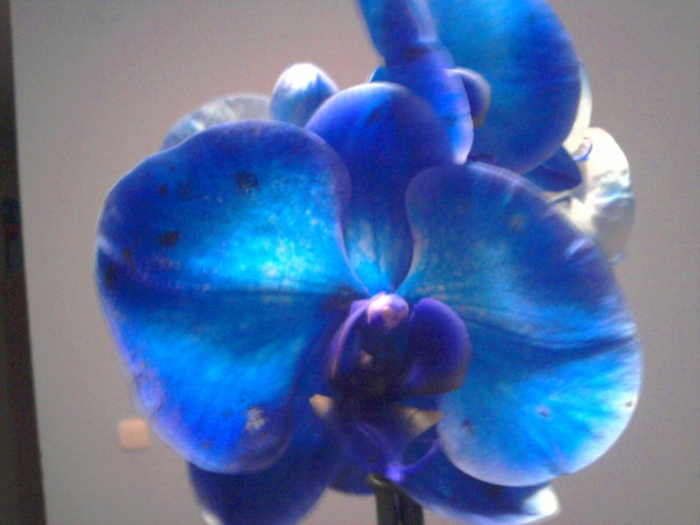 2011-12-27 17.36.27.jpg
