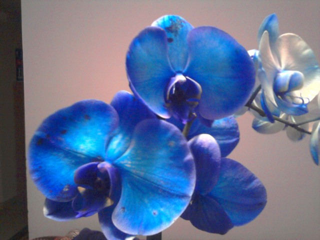 2011-12-27 17.36.43.jpg