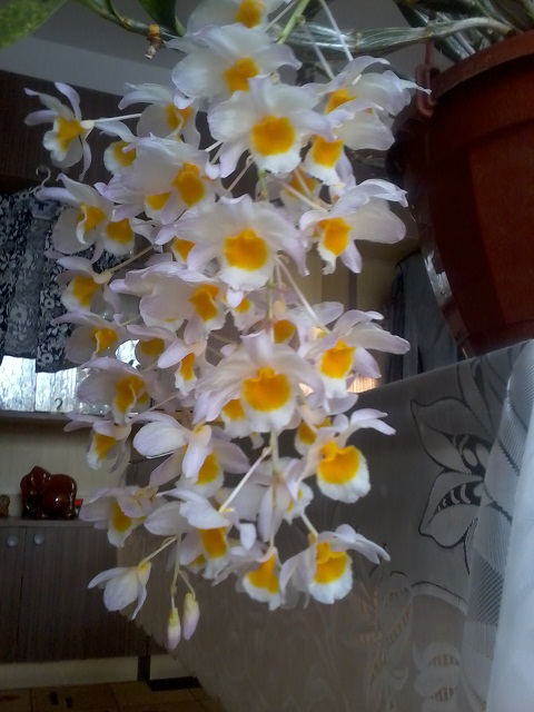 Zdjęcie0377 - Kopia.jpg