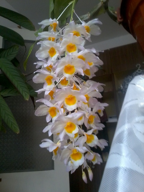 Zdjęcie0379 - Kopia.jpg