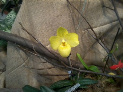 Zdjęcie0268 - Kopia.jpg