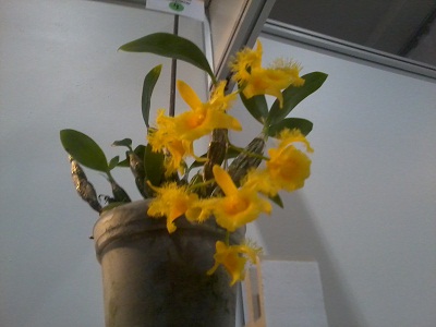 Zdjęcie0269 - Kopia.jpg