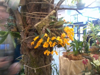 Zdjęcie0271 - Kopia.jpg