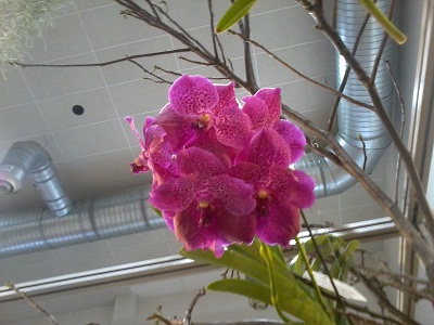 Zdjęcie0272 - Kopia.jpg