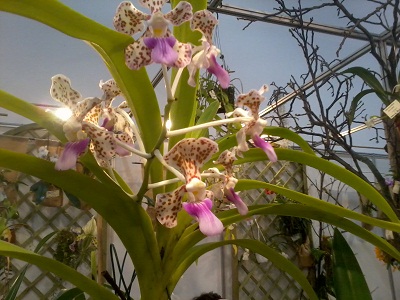 Zdjęcie0274 - Kopia.jpg