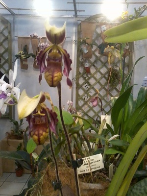 Zdjęcie0275 - Kopia.jpg