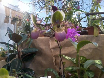 Zdjęcie0276 - Kopia.jpg