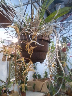 Zdjęcie0277 - Kopia.jpg