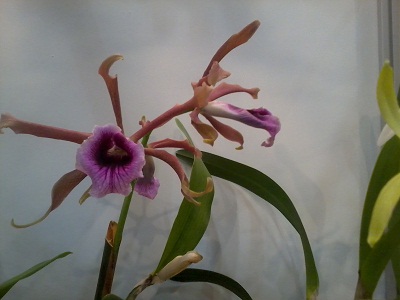 Zdjęcie0281 - Kopia.jpg