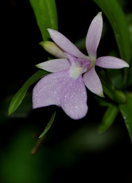 DSC_0758 - Kopia.JPG