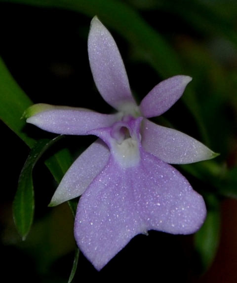 DSC_0590 - Kopia.JPG