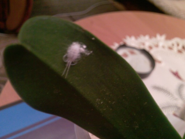 Zdjęcia-0417 (2).jpg