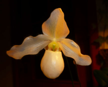 P.Deperle.jpg