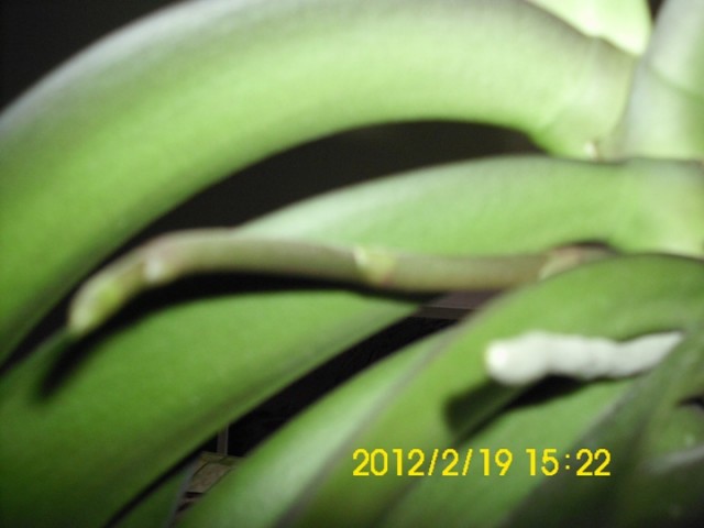 zdjecia aparat 322.jpg