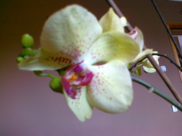 20120320397.jpg