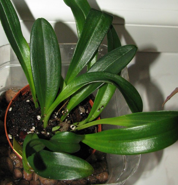 masdsb.jpg (409.32 KiB) Przeglądane 159321 razy masdsb.jpg