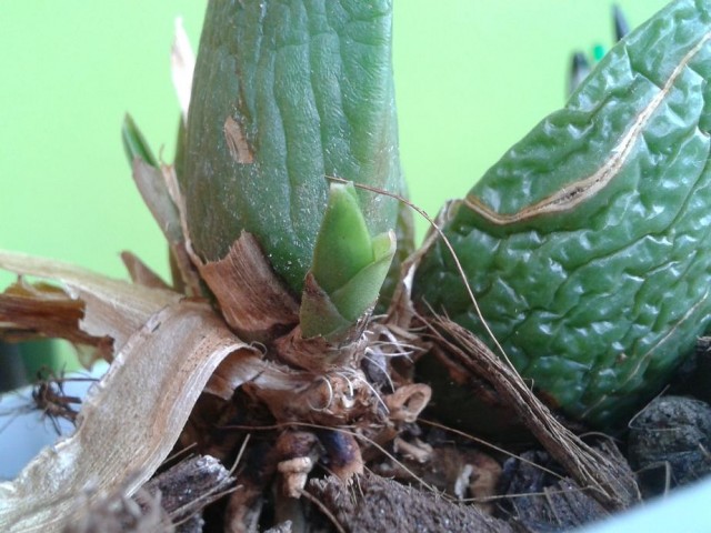 2012-03-25 12.00.49.jpg