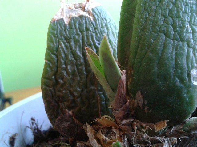 2012-04-14 17.14.24.jpg