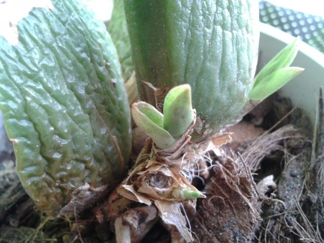 2012-04-14 17.15.16.jpg