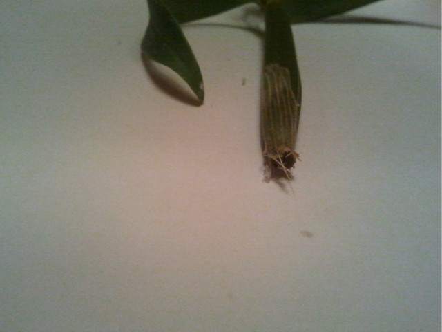 2012-04-17 21.14.32.jpg