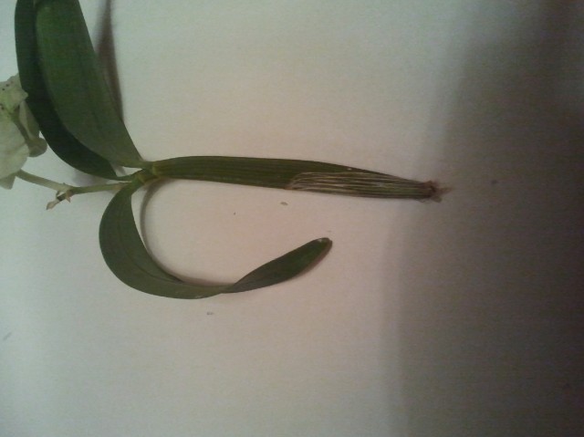 2012-04-17 21.14.42.jpg