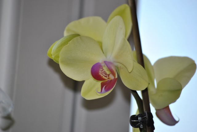 DSC_0025.JPG