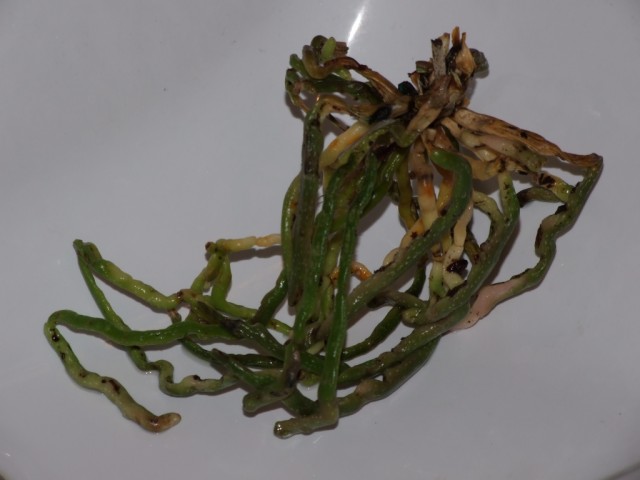 DSCF4259.JPG